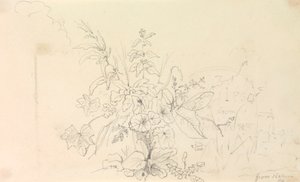 Skisse av planter og en milepæl fra naturen, 3. juni 1826