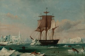  av Captain Charles (attributed to) Wilkes