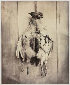 Rapphøns recto, L.D. Campbells grav verso, ca. 1861. av Captain N. Baily