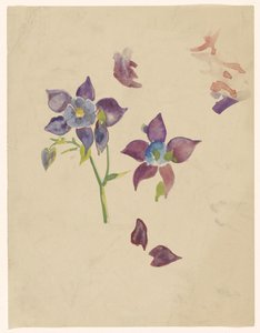 blomsterstudie av Carel Adolph Lion Cachet