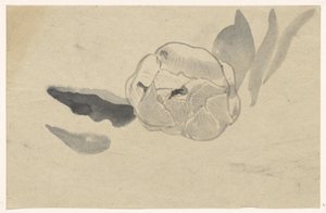 Blomsterstudie av Carel Adolph Lion Cachet