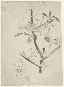 Gren med blomst av Carel Adolph Lion Cachet