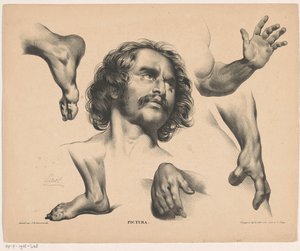 Hodet til en mann, føtter, hender og armer Pictura (serietittel på objekt) av Carel Christiaan Antony Last
