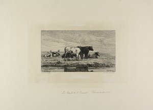  av Carel Nicholaas Storm van Gravesunde