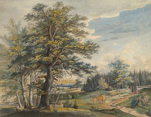 Skoglandskap med hjort, 1800-1877.