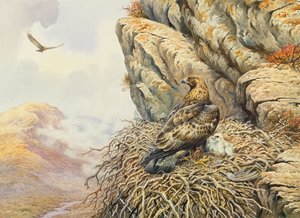 Golden Eagles på Eyrie av Carl Donner