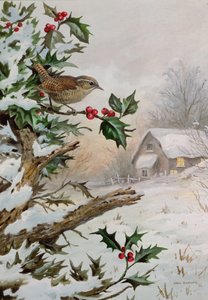 Wren i Hollybush ved en hytte