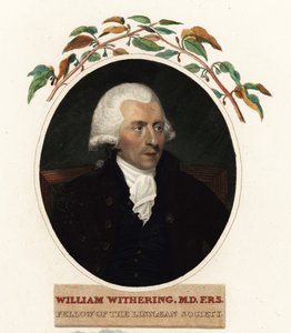 Portrett av William Withering, lege og botaniker av Carl Frederik van (after) Breda