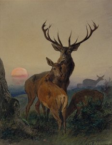 En hjort med en hjort i et skogslandskap ved solnedgang av Carl Friedrich Deiker