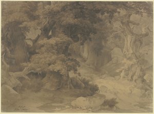  av Carl Friedrich Lessing