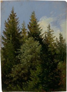  av Carl Gustav Carus