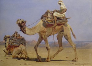 Kamel forbereder seg på å legge seg ned, 1858