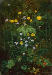 Smørblomster og forglemmigei på et skoggulv av Carl Henrik Koch Moller