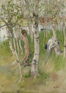 Nakengutt blant bjørker, 1898 (wc på papir)