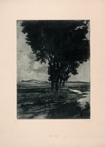 svarte poppel av Carl Maria Thuma
