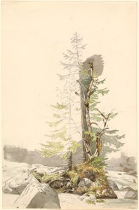 En treklump ved en steinete bekk i Ramsau av Carl Morgenstern