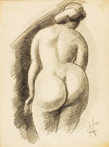  av Carl Newman