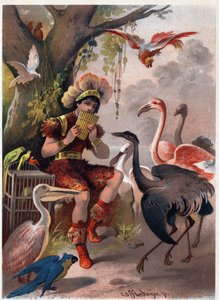 Papageno med panfløyte bringer fuglene fra skogen. Illustrasjon av Carl Offterdinger (1829-1889) i "" Den fortryllede fløyten"" (Die Zauberflote, flauto magico, Tryllefløyten). Privat samling.