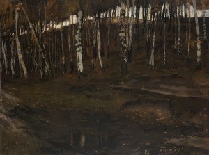 Birkenwald