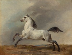 Grå hingst til venstre av Carl Steffeck