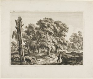 Landskap
