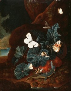 Et skoggulv stilleben med en øgle, sommerfugler, snegl og en slange (olje på panel)