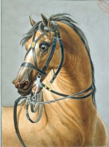 hodelag for artillerihester av Carle Vernet