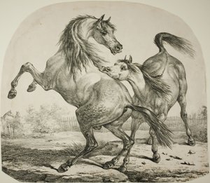 Villhester som kjemper av Carle Vernet