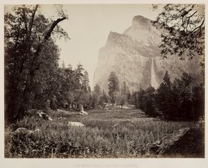 Brudeslør, Yosemite, ca. 1865-1866. av Carleton E. Watkins