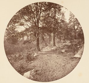 I Yosemite Valley, ca. 1878. av Carleton Emmons Watkins