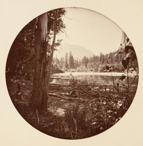 [Yosemite nasjonalpark, California], ca. 1878. av Carleton Emmons Watkins
