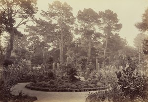  av Carleton Watkins