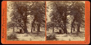 Hytte i Camp Grove, Yosemite Valley, Mariposa County, Ca av Carleton Watkins