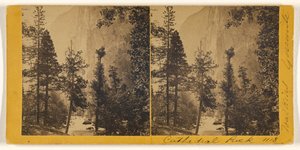 av Carleton Watkins