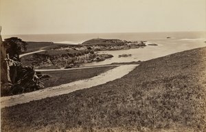  av Carleton Watkins