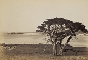  av Carleton Watkins