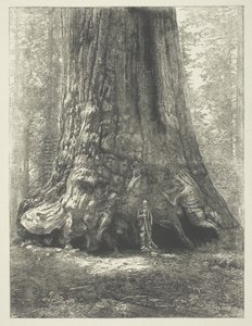  av Carleton Watkins