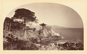  av Carleton Watkins