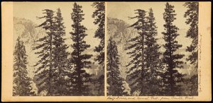 Half Dome og Vernal Fall, fra South Fork av Carleton Watkins
