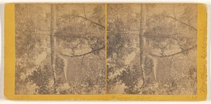  av Carleton Watkins