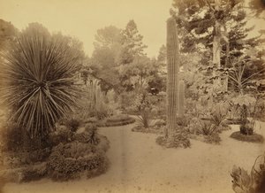  av Carleton Watkins
