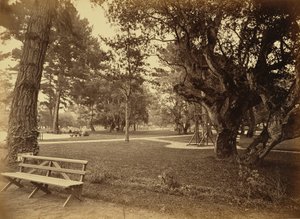  av Carleton Watkins