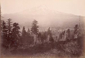  av Carleton Watkins