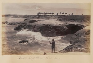  av Carleton Watkins