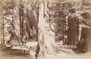  av Carleton Watkins