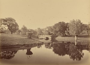 av Carleton Watkins