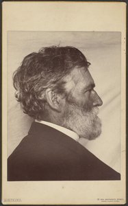  av Carleton Watkins