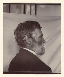  av Carleton Watkins