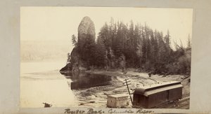  av Carleton Watkins