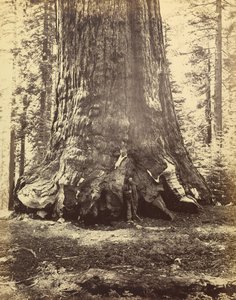  av Carleton Watkins